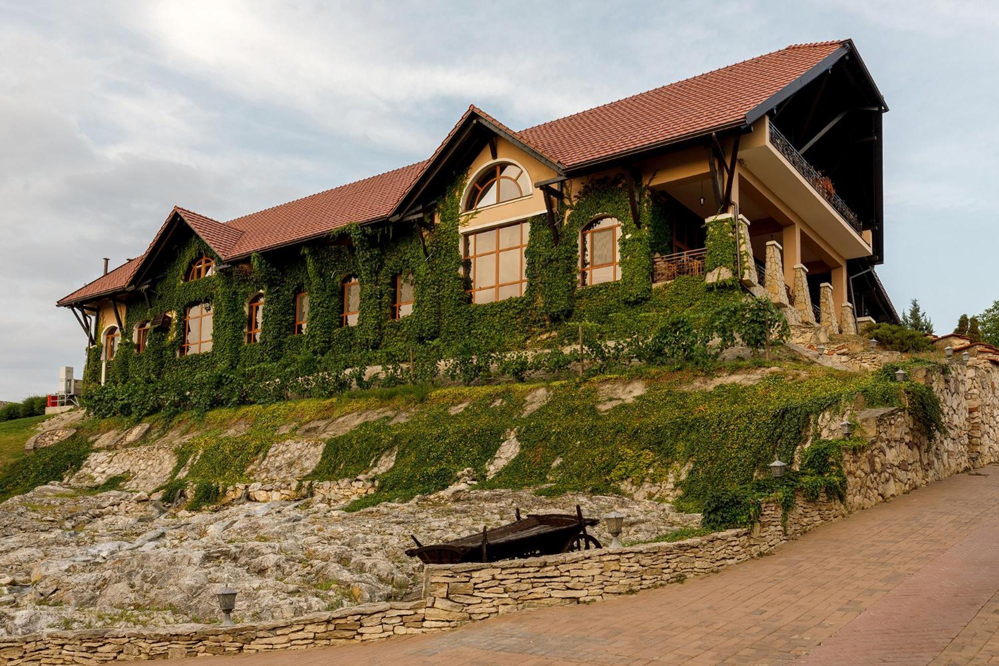 Chateau Vartely ออร์เฮ ภายนอก รูปภาพ
