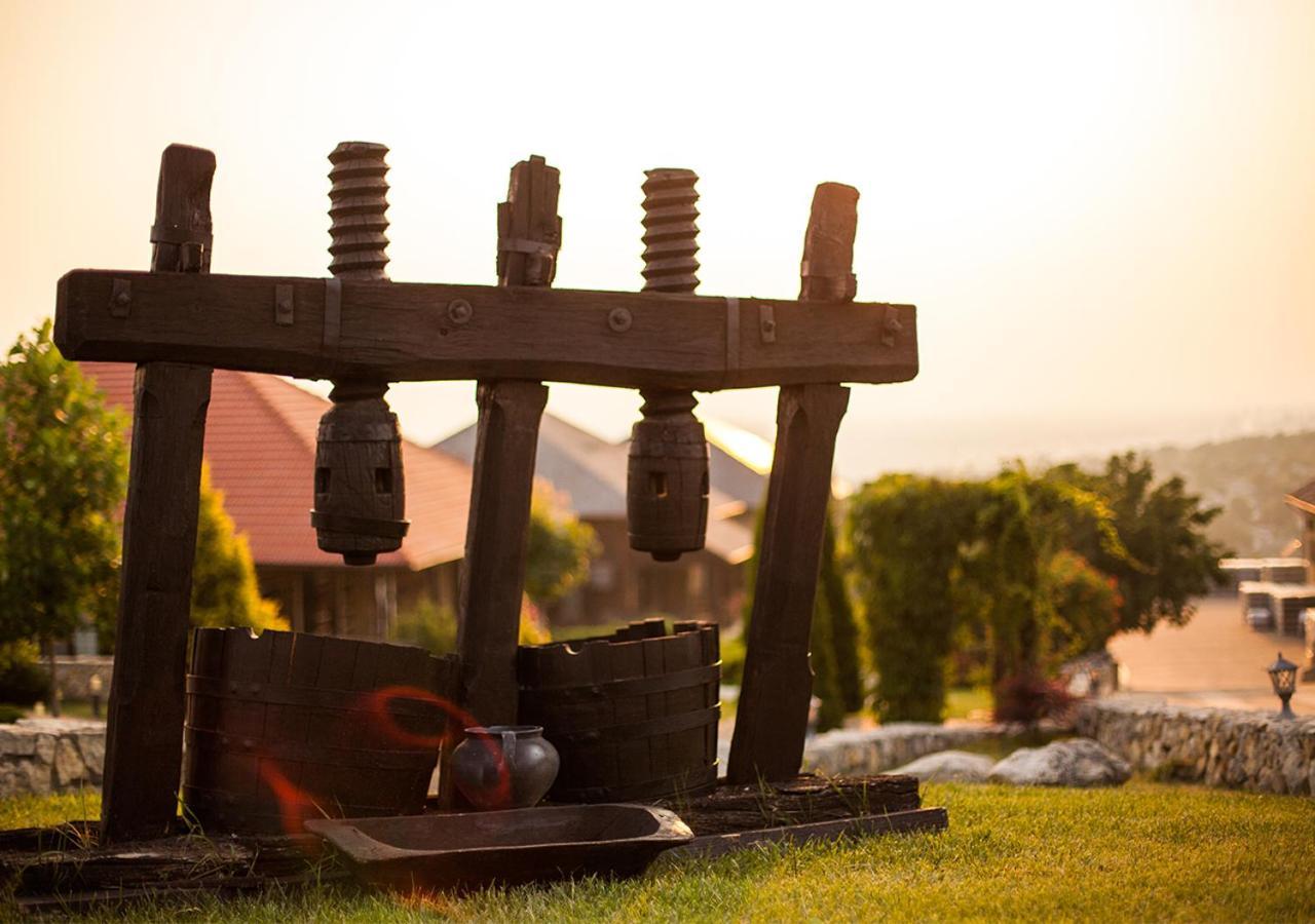 Chateau Vartely ออร์เฮ ภายนอก รูปภาพ